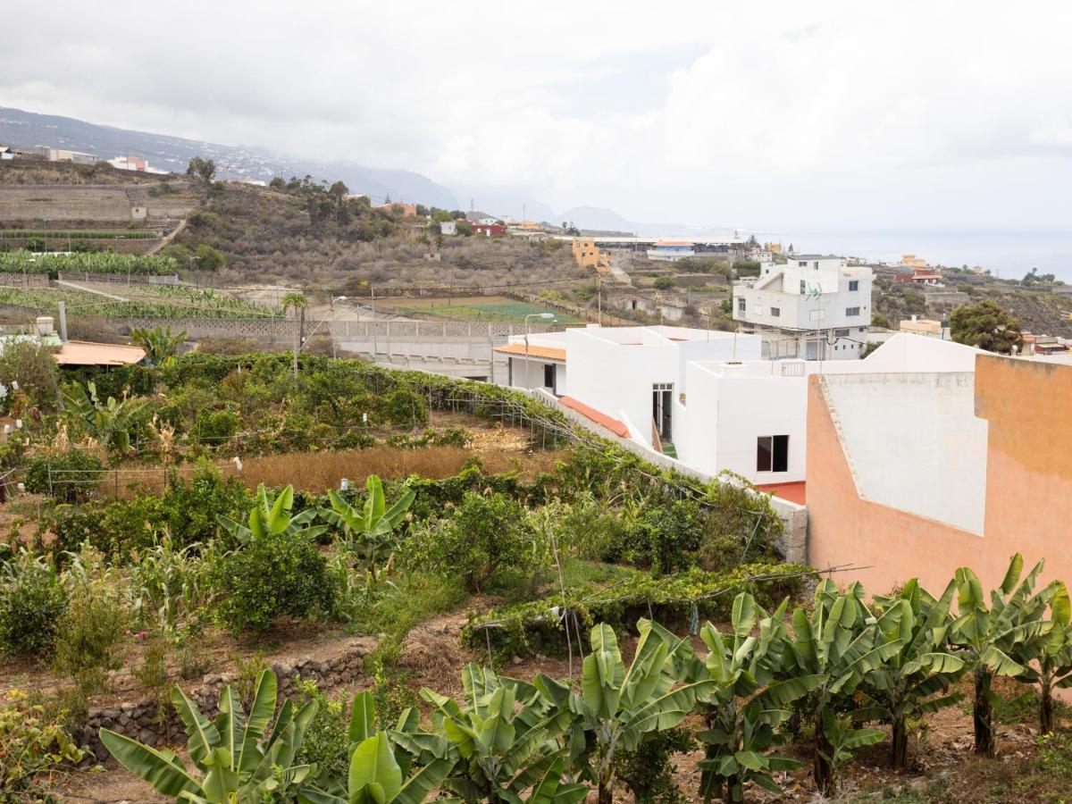 Ferienwohnung Live Icod Buen Paso Icod De Los Vinos Exterior foto